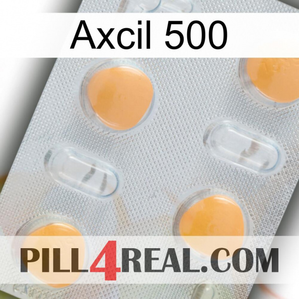 Axcil 500 24.jpg